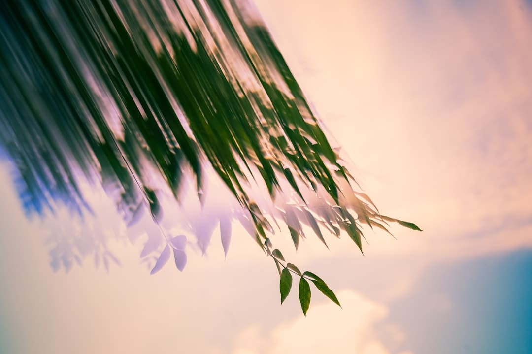 奇幻剧《韶光之轮》被砍 第三季为完结篇